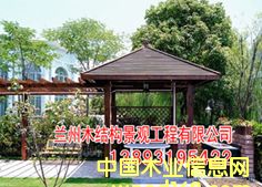 �m��ľ��ͤ�ӹ����b