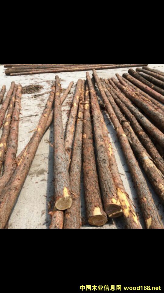 ���~����ľ����Ԕ����B