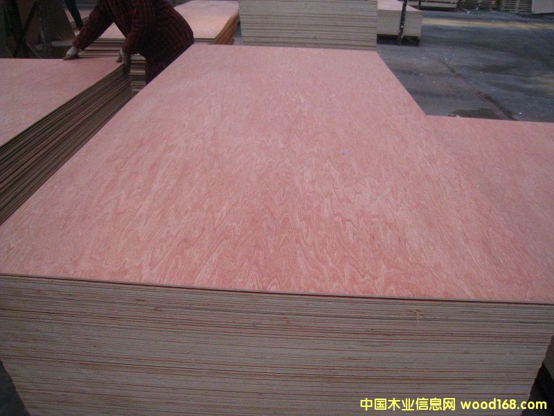 ���ǹ��z�ϰ� ��Ԕ��(x��)��B