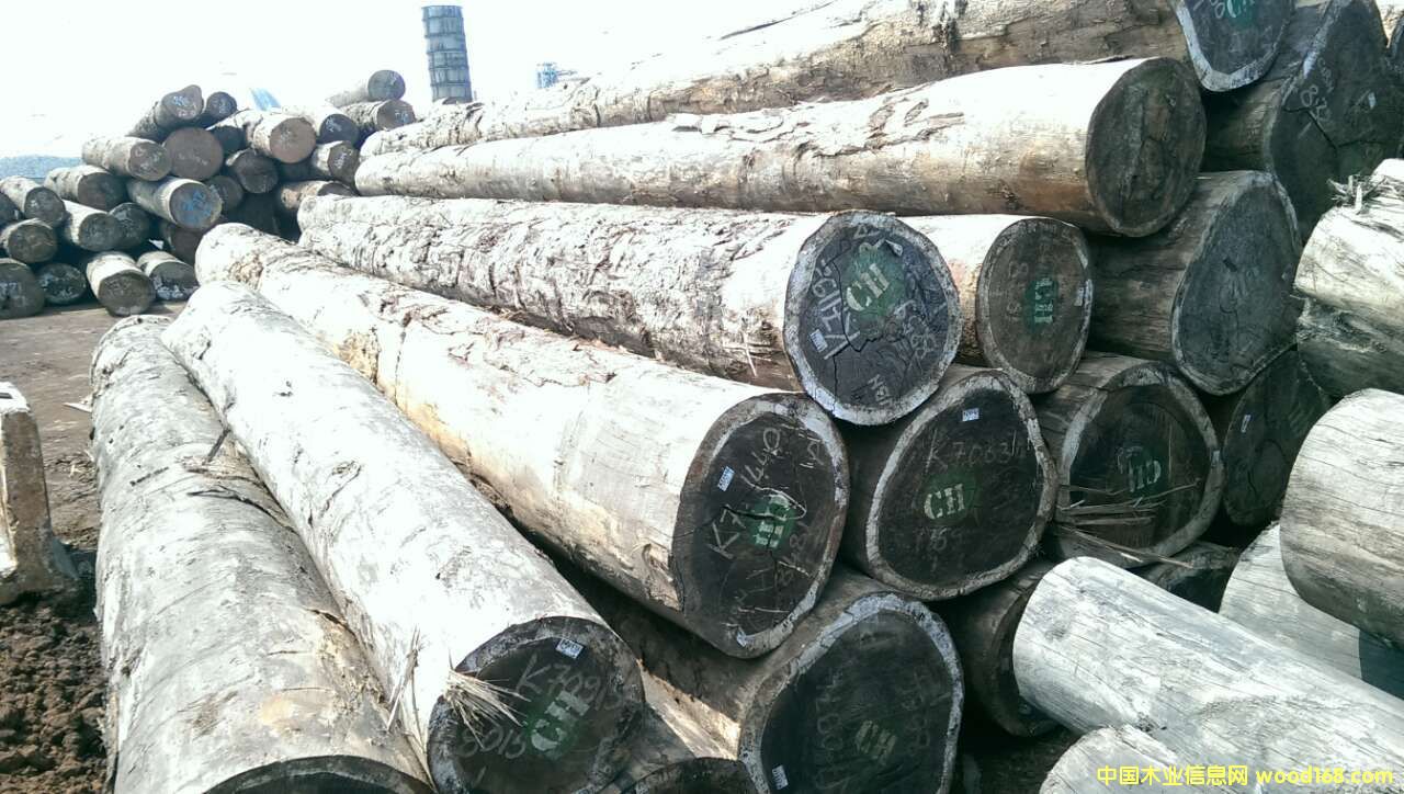 紅花梨的詳細(xì)介紹