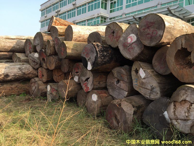 ���黨��ԭľ ��70 cm * 5 m))��Ԕ��(x��)��B