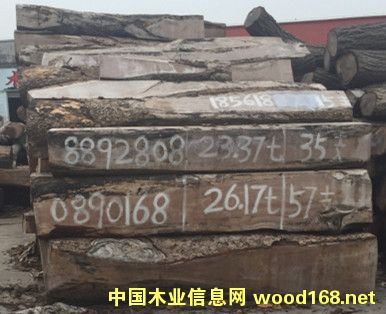 �V�ݾ��ѵ�Ԕ��(x��)��B