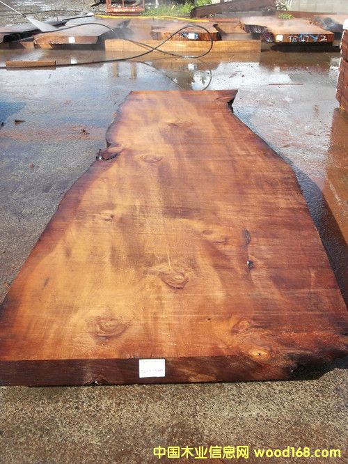 �����m5�f��ꎳ�ľ ����Ԕ��(x��)��B