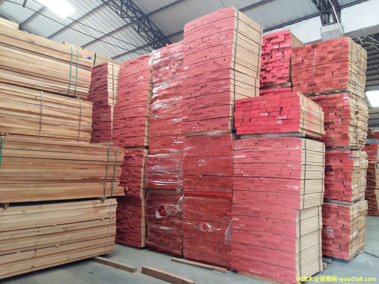 歐洲櫸木的詳細(xì)介紹