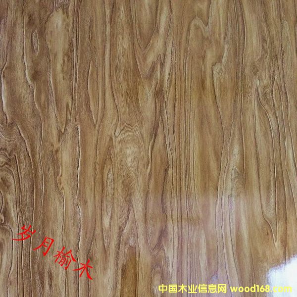 �q����ľ��Ԕ��(x��)��B