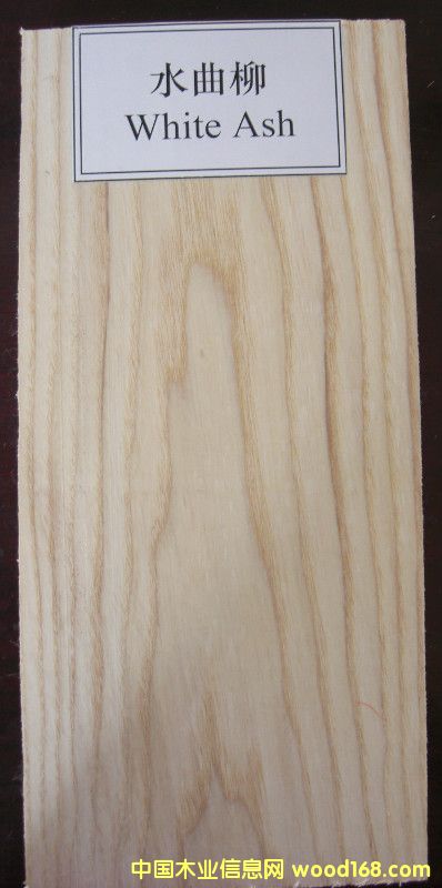 ��Ϟ��ˮ������