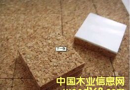 �c(di��n)���鿴ˮ�����޲����|�Ŵ�DƬ