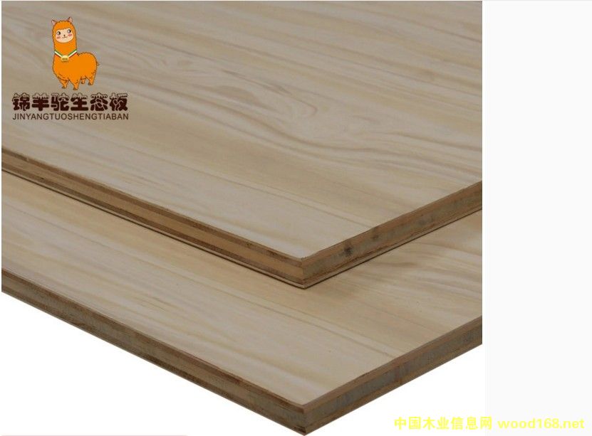 ����֮퍵�Ԕ��(x��)��B