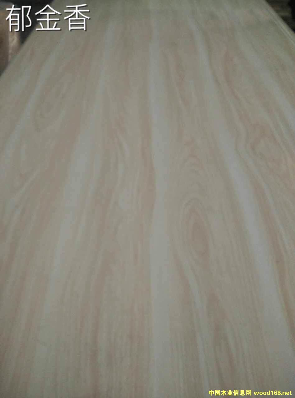 �����/�R���׵�Ԕ��(x��)��B