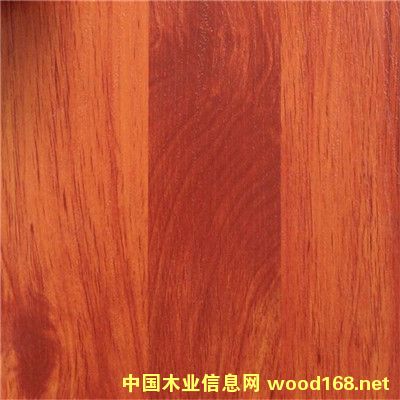 ��ľ�y���̰�