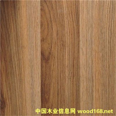 ��ľ�y���̰�