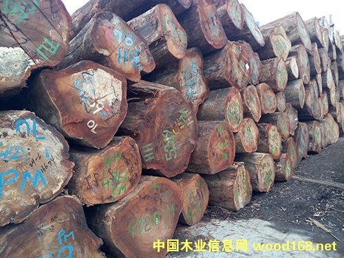 �ڂ��ҵ�Ԕ��(x��)��B