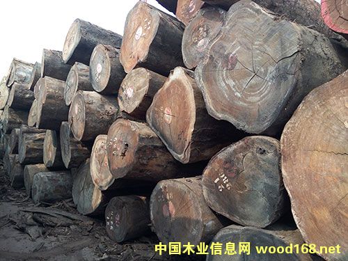 �������ǲ�����Ԕ��(x��)��B