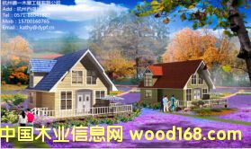 DY-D-097��Ԕ����B