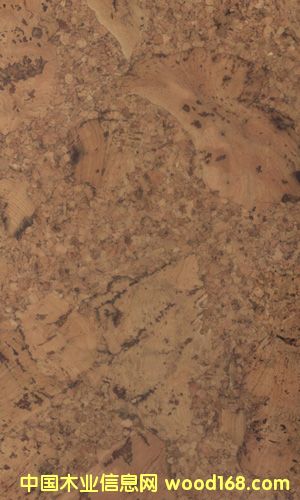 �c(di��n)���鿴ܛľ�ذ�CF084024�Ŵ�DƬ