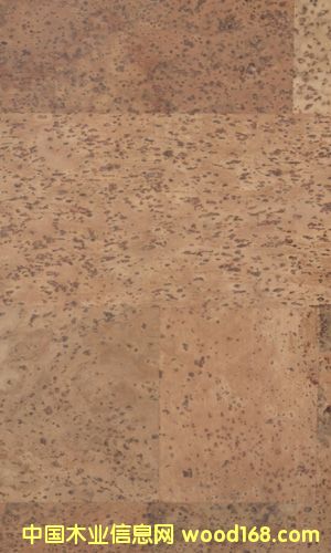 �c(di��n)���鿴ܛľ�ذ�CF084021�Ŵ�DƬ