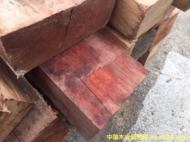 ΢���S̴-�궼��˹��Ԕ����B