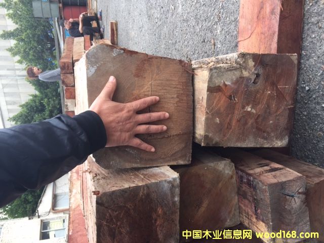 ΢���S̴-�궼��˹��Ԕ����B