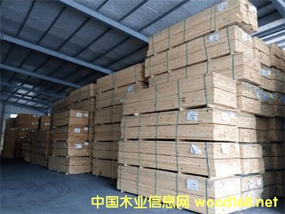 �����mݗ���ɵ�Ԕ����B