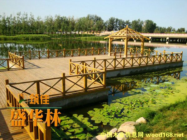 ����ľ�ذ��Ԕ��(x��)��B