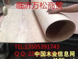 ������ɰ���Ԕ����B