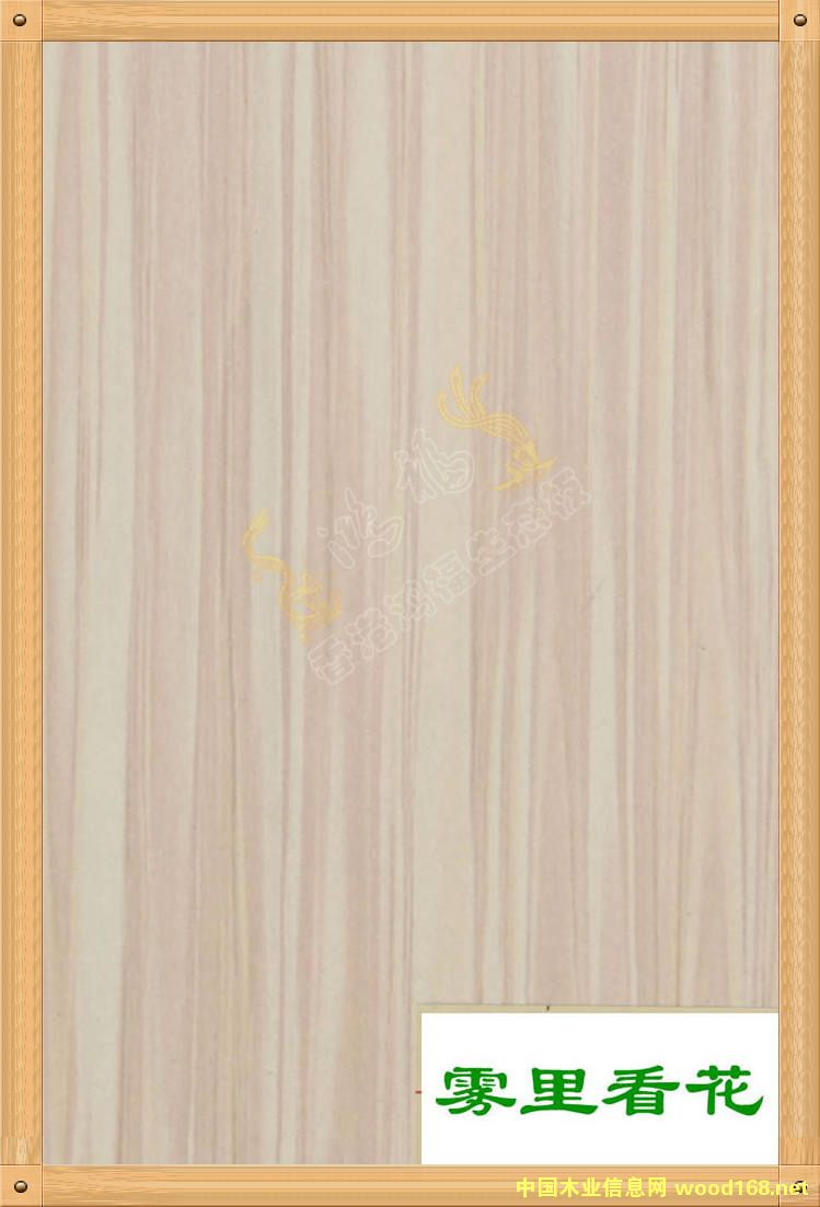 ����������B(t��i)��-�F�￴����Ԕ����B