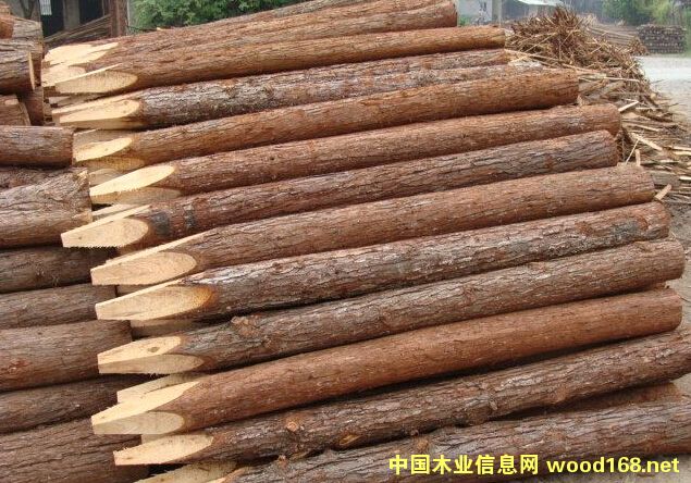 ����(y��ng)�ӵ���ɼľ����Ԕ��(x��)��B