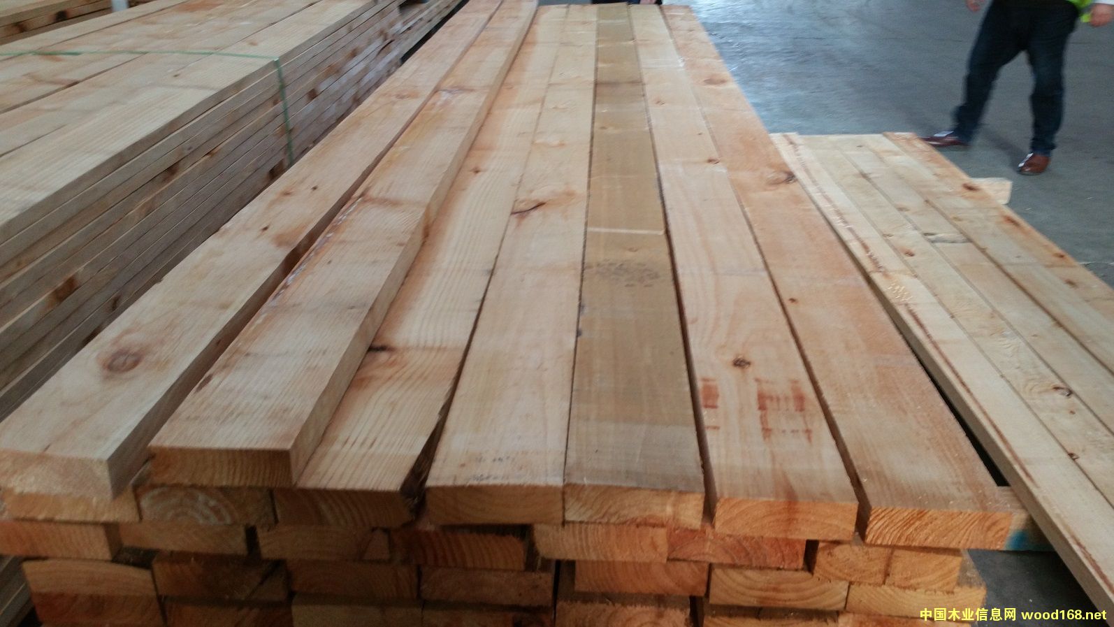 ݗ���ɰ�ĵ�Ԕ��(x��)��B