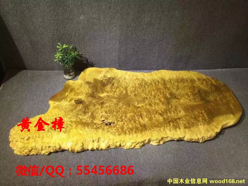 �S������P��Ԕ��(x��)��B