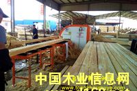 �Fɼ��������ľ����Ԕ��(x��)��B