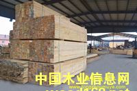 ���~��������ľ����Ԕ��(x��)��B