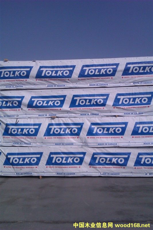 �������l(f��)����SPF��Ԕ��(x��)��B