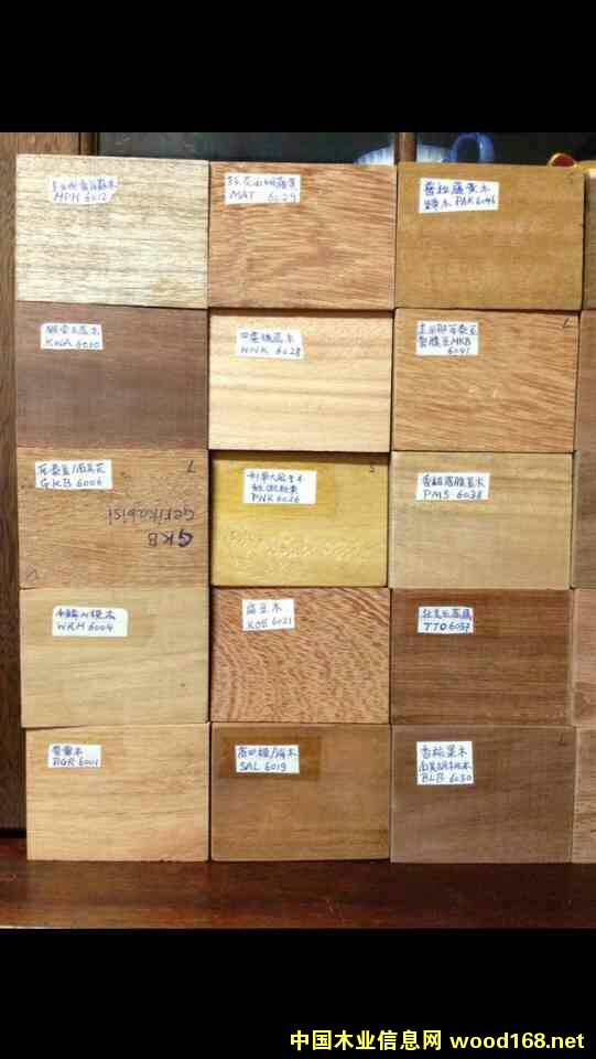 �K����11�Nľ�ĵ�Ԕ��(x��)��B