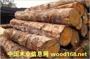 �����mݗ���ɵ�Ԕ��(x��)��B