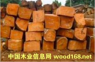 �����mݗ���ɵ�Ԕ��(x��)��B