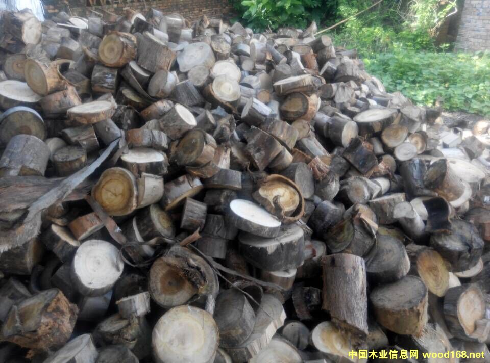 ߅����/��ľ߅����/��ľ��/ľ�K/�����|(zh��)ȼ�ϵ�Ԕ��(x��)��B