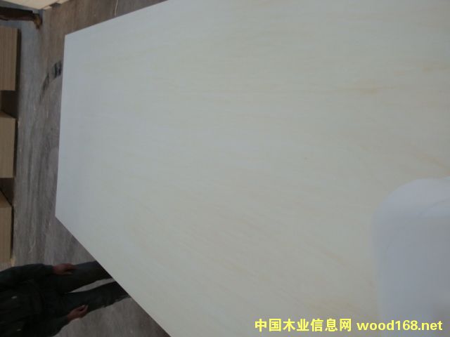 �S��ֱ�N(xi��o)�p�N�ؼ�(j��)Ư�ח�ľȫ���12��LVL�z�ϰ��Ԕ��(x��)��B