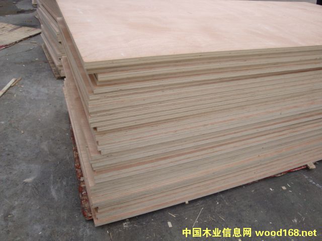 ����(y��ng)���b�����һ�о�N��12���z�ϰ��Ԕ��(x��)��B