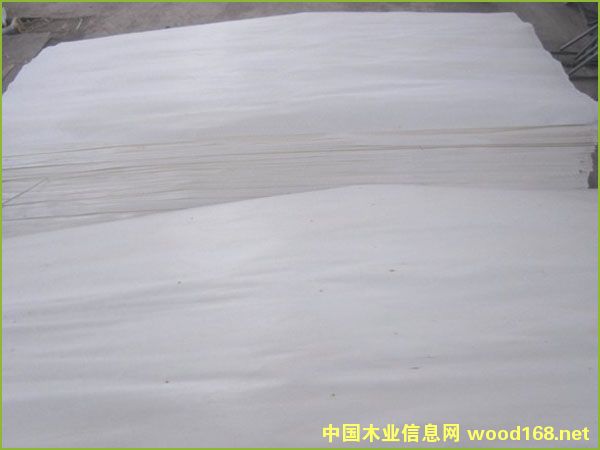 Ư�ח�ľ��Ƥ ��Ԕ����B