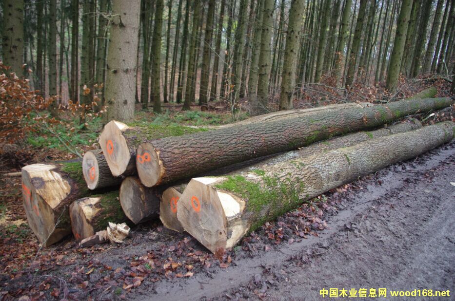 �W��ˮ����ԭľ���̵�Ԕ����B