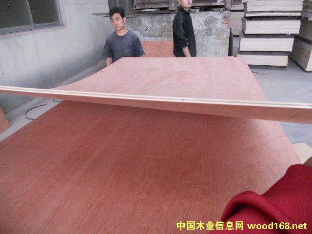 ���ǹ��z�ϰ�