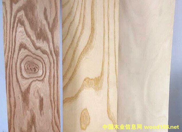 ��ľľƤ��Ԕ����B