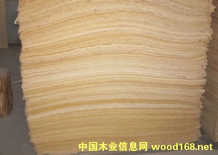 ��ľľƤ��Ԕ����B