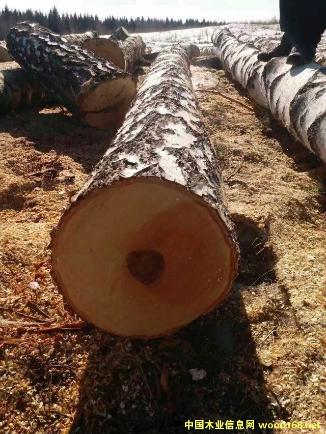 ��Ƥ�ט�ԭľ��Ԕ��(x��)��B