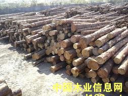 �����ɵ�Ԕ��(x��)��B