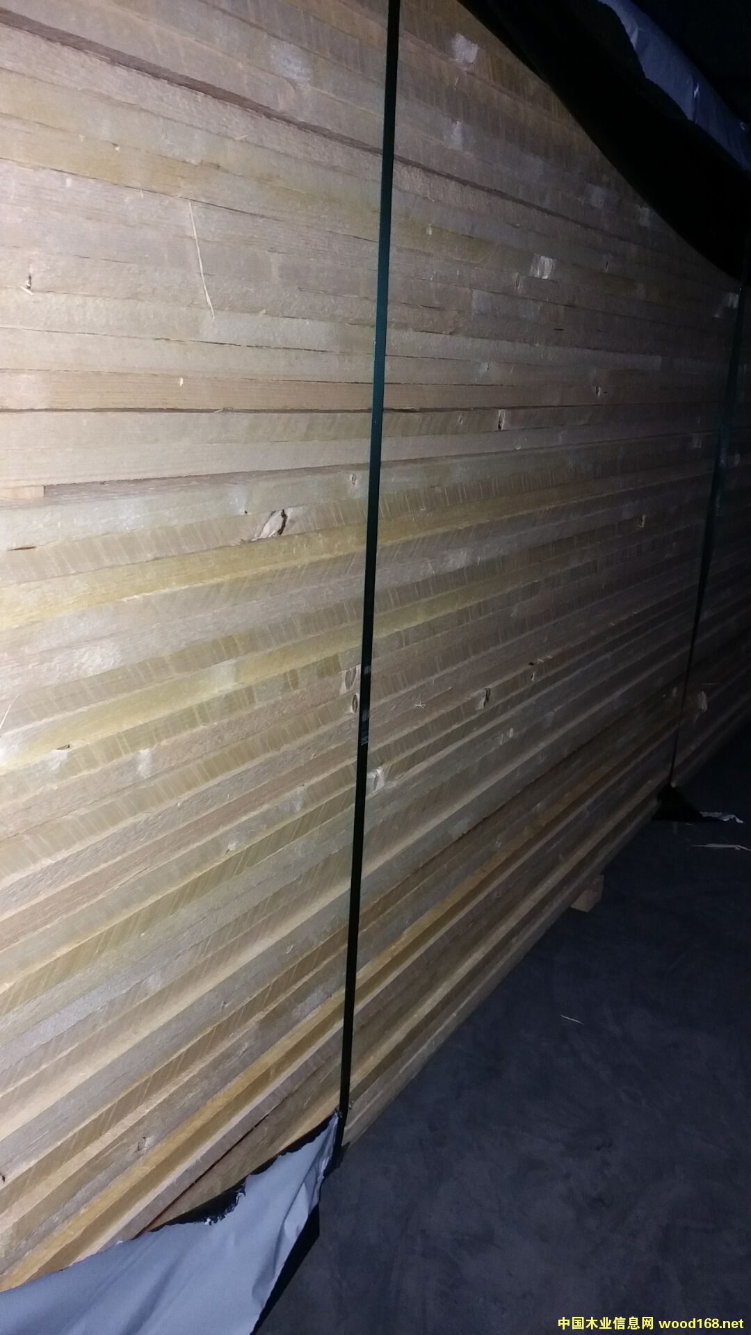 ��ɼ��Ԕ��(x��)��B