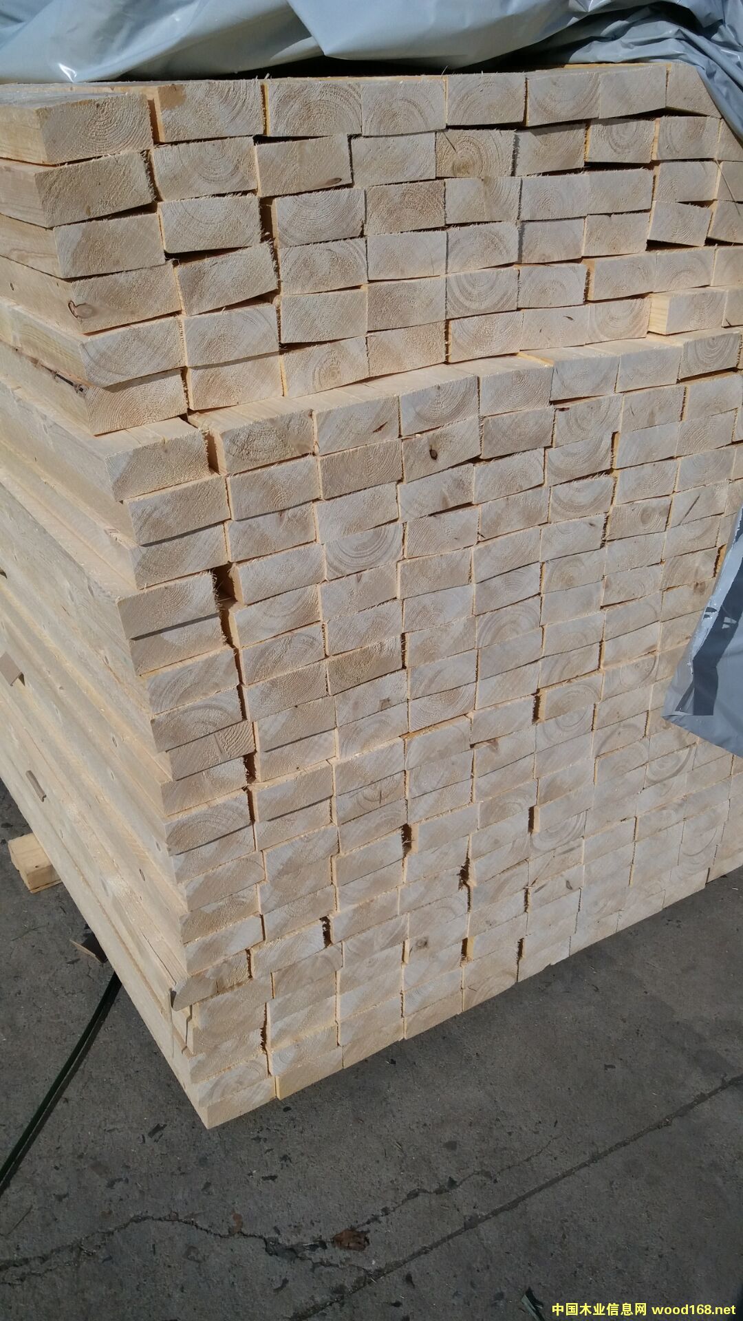 ��ɼ��Ԕ��(x��)��B