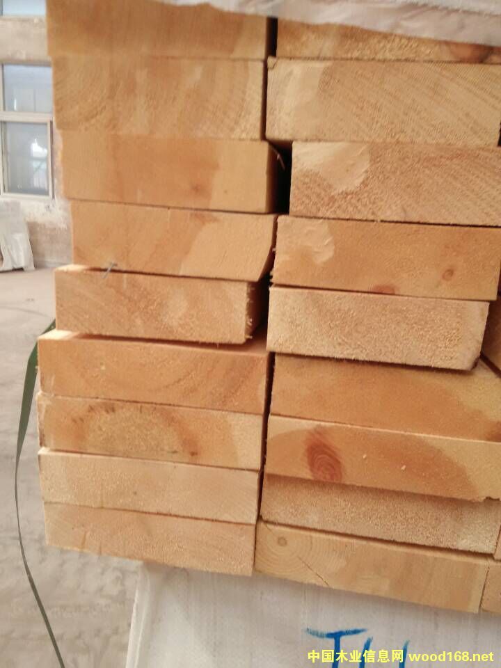 ���_˹������