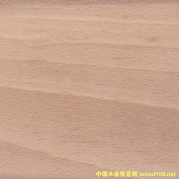 ��ľ��Ԕ��(x��)��B