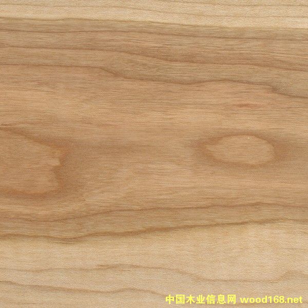 ����ľ��Ԕ��(x��)��B